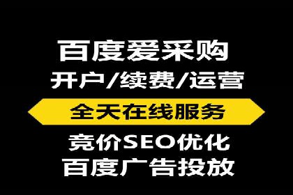 专业网站SEM托管服务案例展示